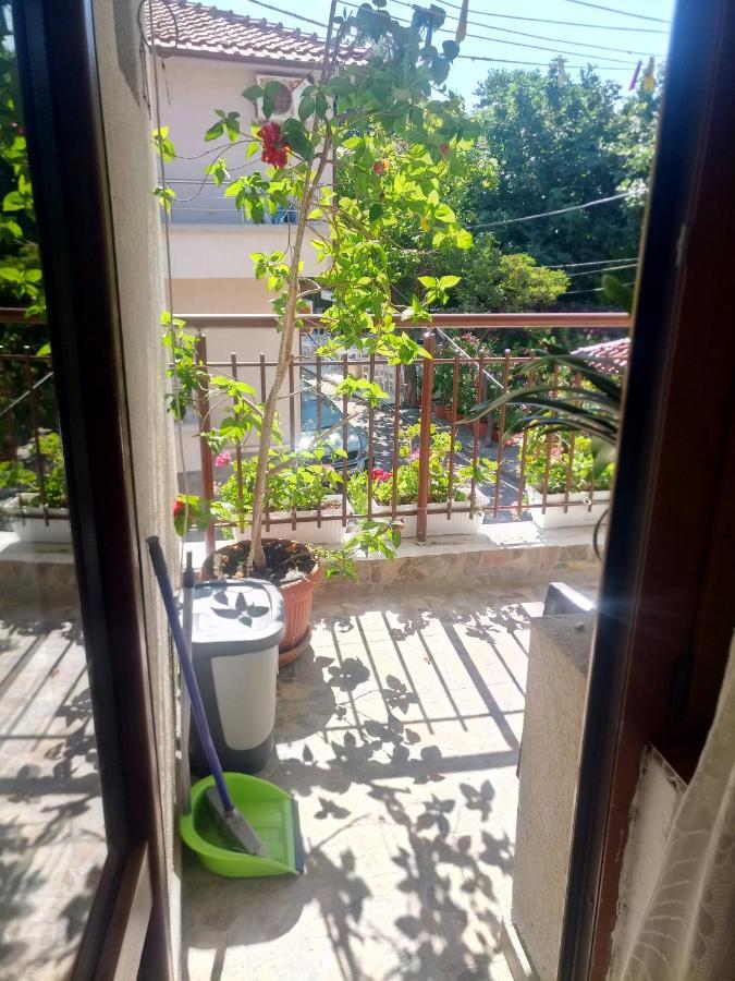 Farlalievi Guest House Созополь Екстер'єр фото